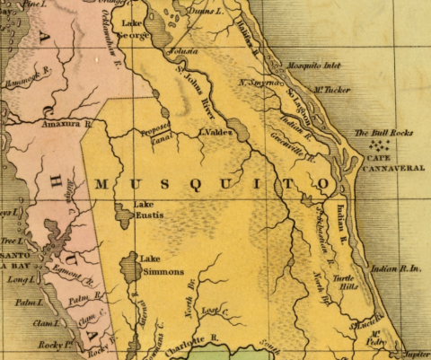 A map of Florida showing Mosquito County. 