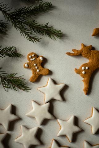 gingerbread on white background