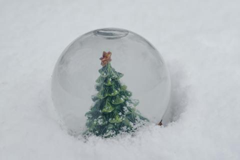 snow globe