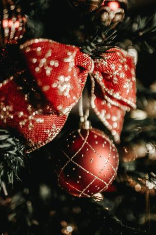 red bow and ornament on a tree