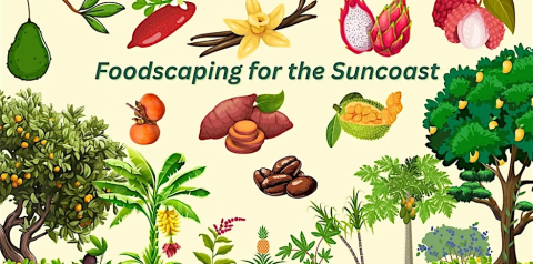 plants and vegetables