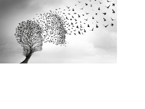 death symbolized as a tree turning into a bird