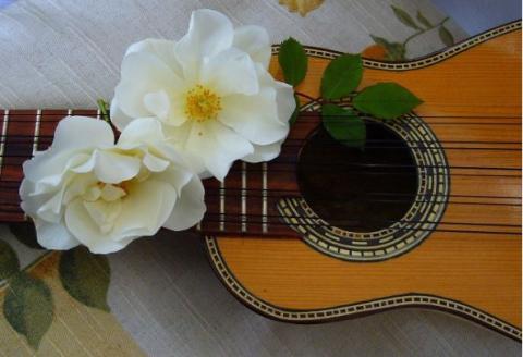A ten string guitar with white flowers