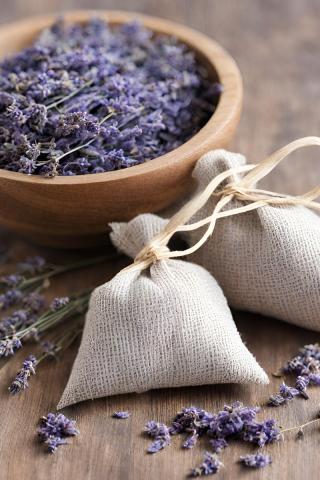 lavender and sachet