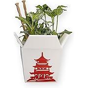 take away box planter with plant