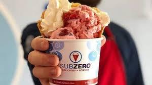 sub zero ice cream