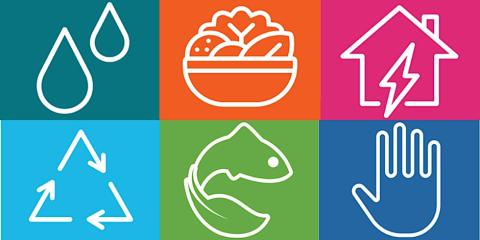 A group of icons related to green living. 