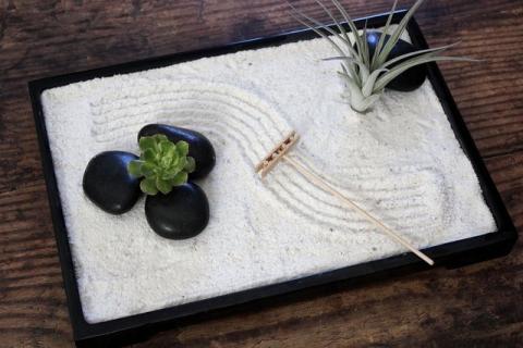 a miniature zen garden with sand, rocks, a rake, and small plants.