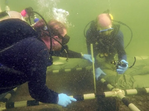 a pair of scuba divers underwater looking at an archaeological site