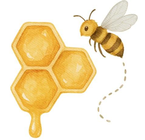 Illustration of a bee and a honeycomb