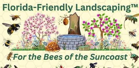 Bees of the Suncoast