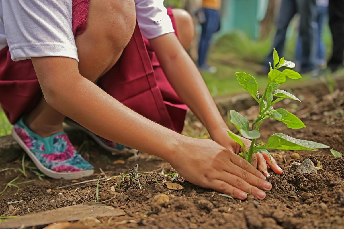 Gardening