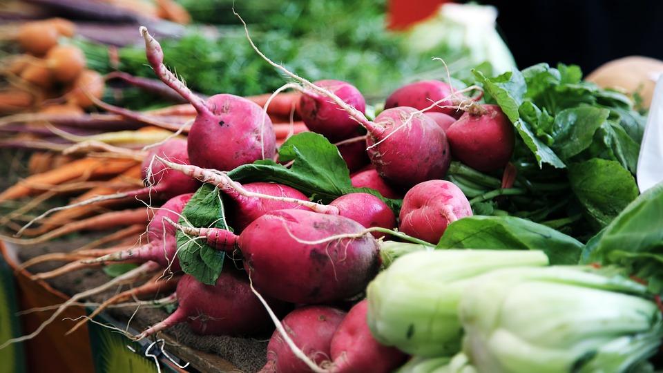 Fresh vegetables on table including radishes, lettuce and carrots