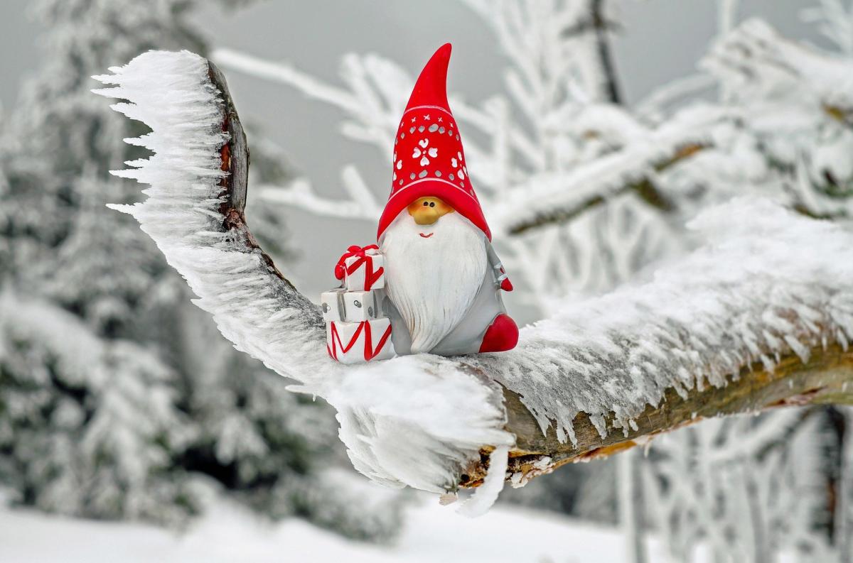 Tomte