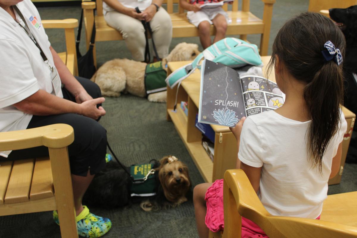 Dog listens to story