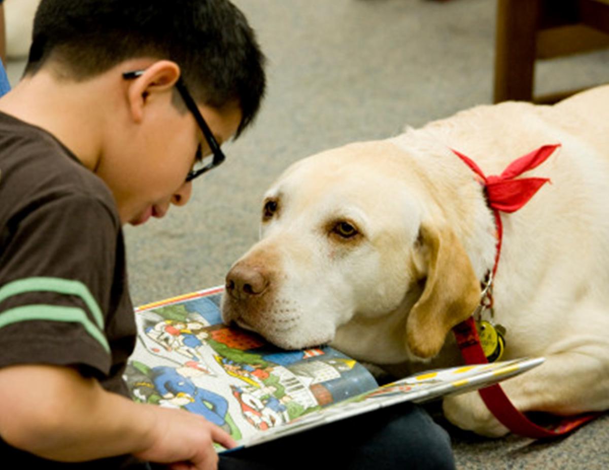 Read with the Dogs