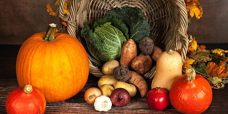 harvest vegetables