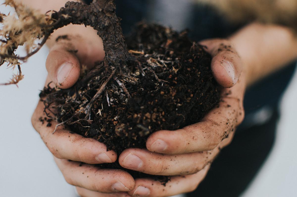 gardening dirt