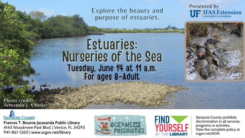 Estuaries promo