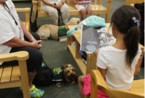 Read with the Dogs