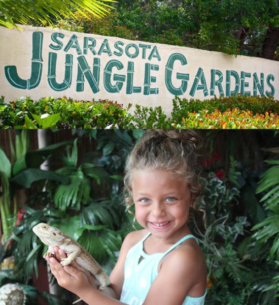 Sarasota Jungle Gardens