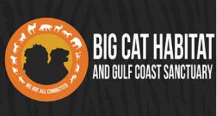 Big Cat Habitat Logo