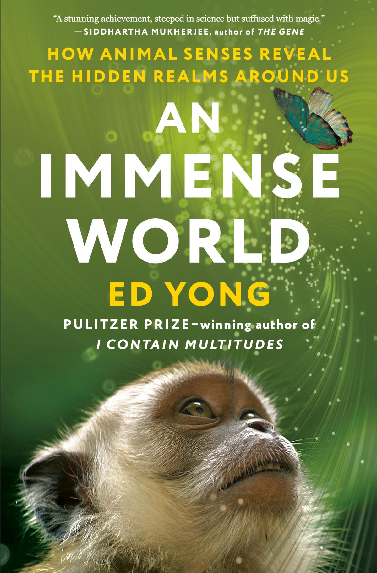 "An Immense World" book jacket