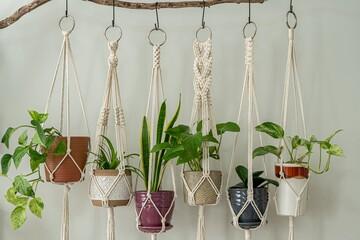 Macramé Plant Hangers