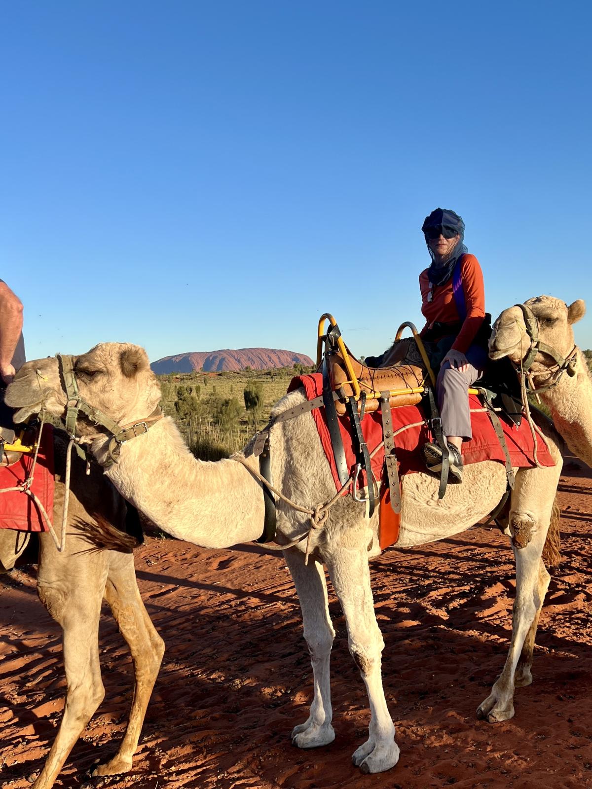 Person riding on a camel