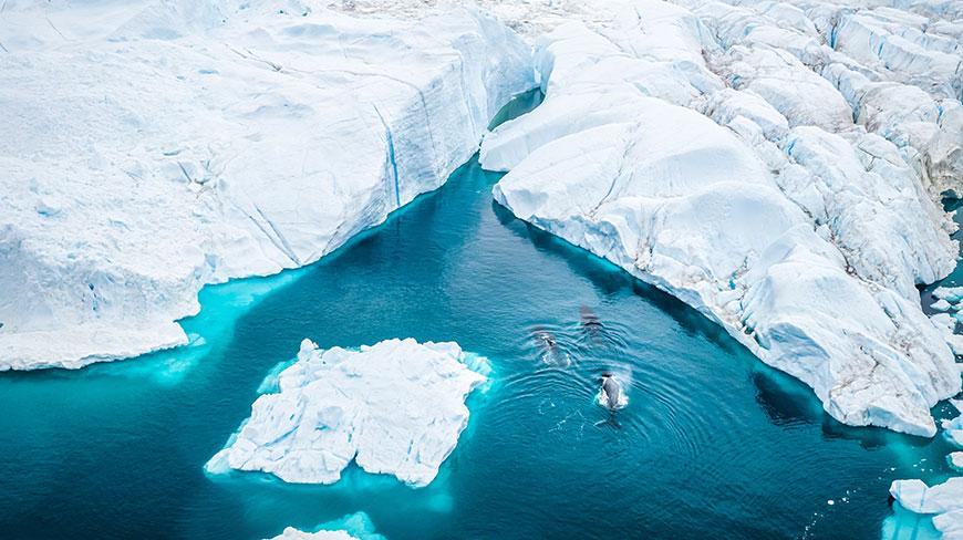 Melting Glacier