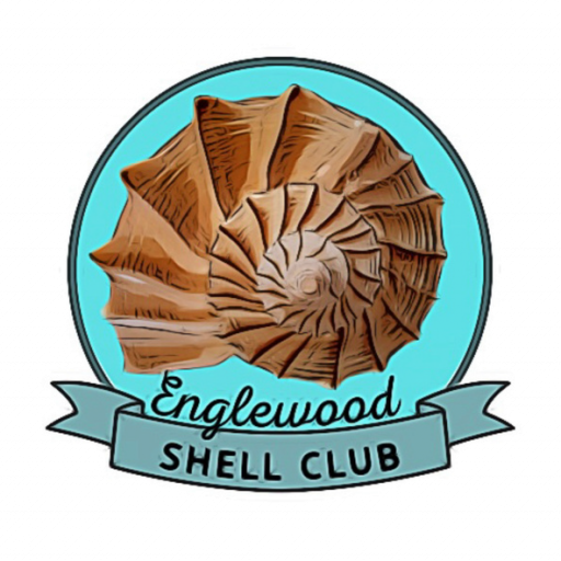 Logo for Englewood Shell Club 