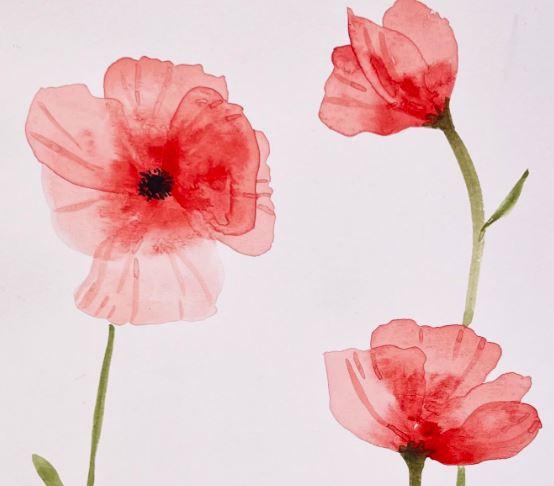 Watercolor Poppies