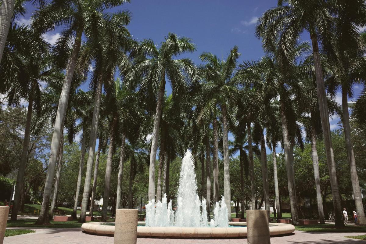 palm trees and a fountain