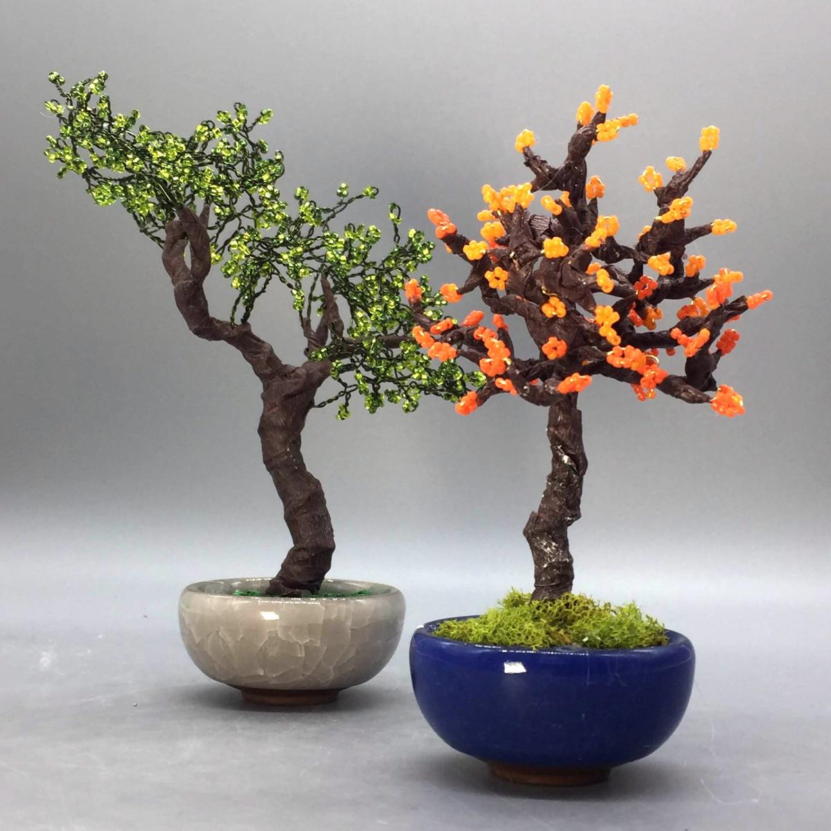 bonsai