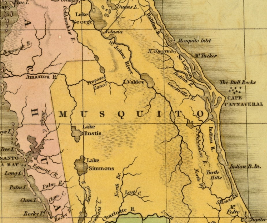 image of "Mosquito County" in an old map of Florida