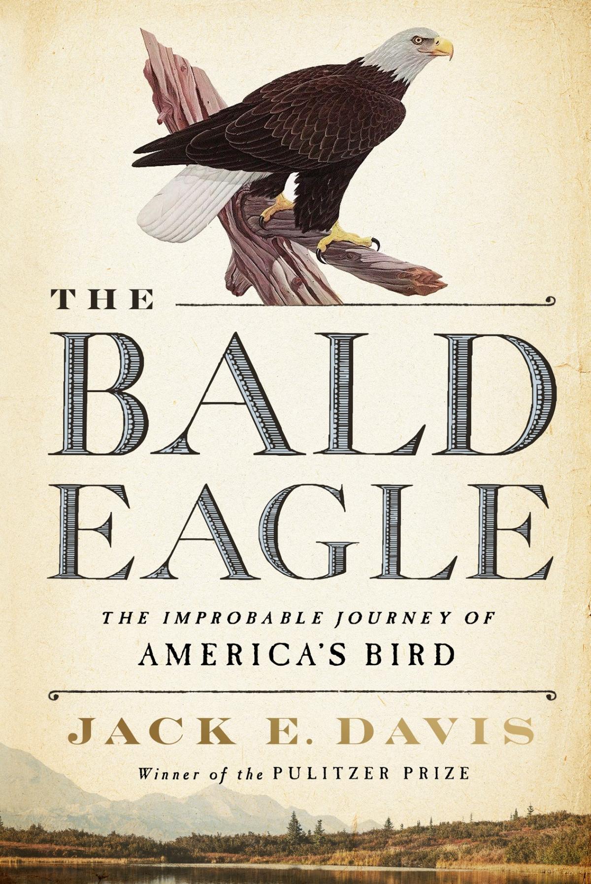 Book cover for The Bald Eagle by Jack E. Davis.