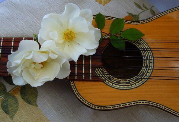 A ten string guitar with white flowers