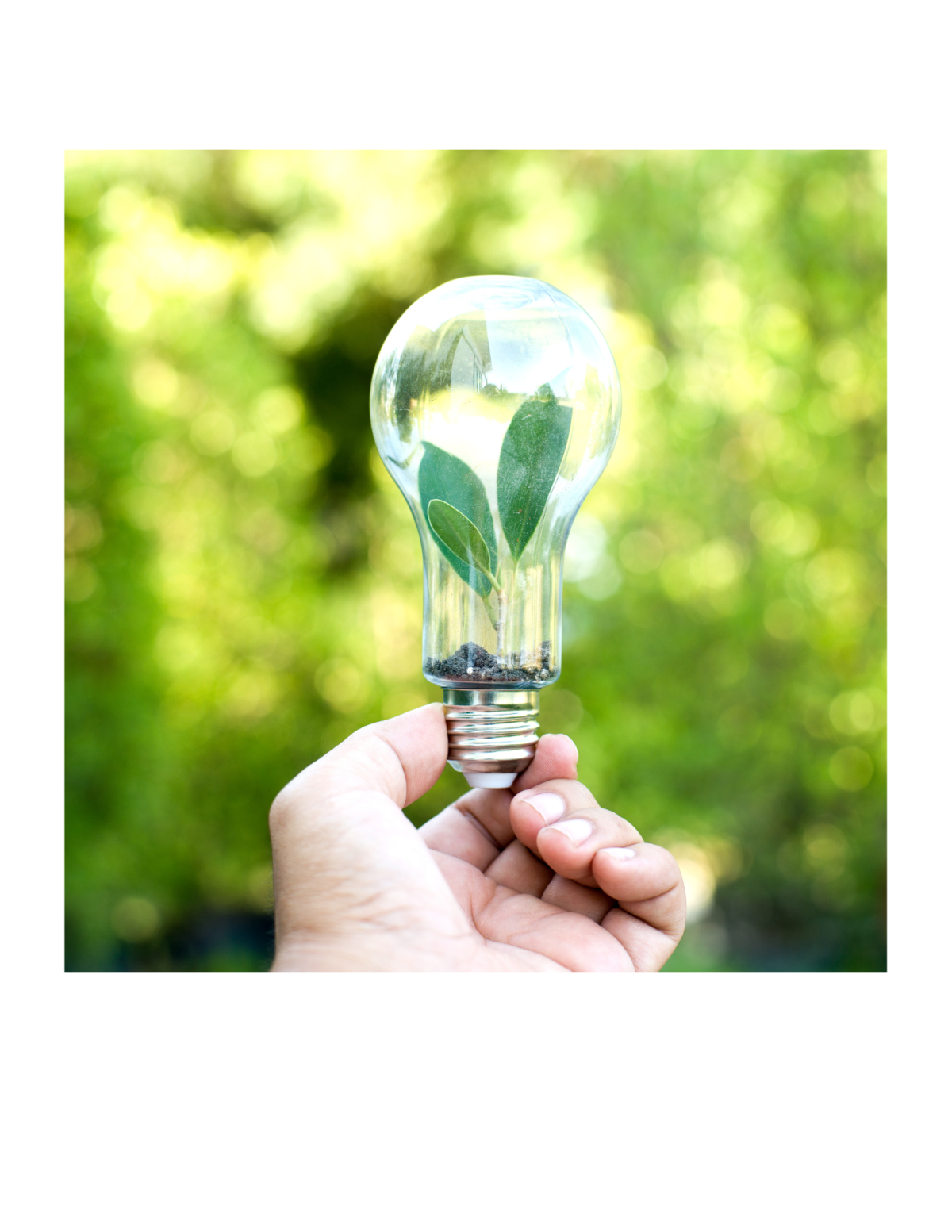 Energy Upgrade Workshop