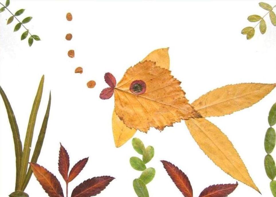 nature collage depicting a fish