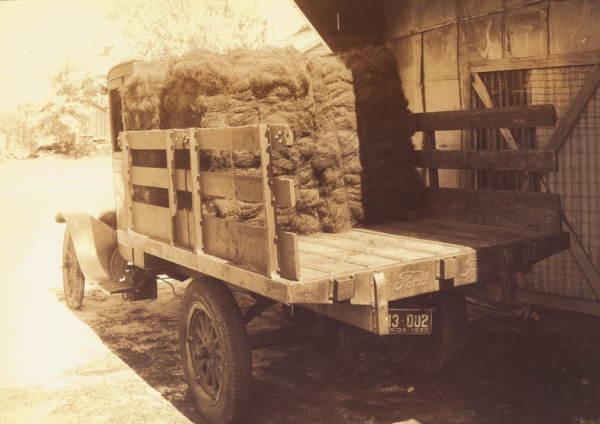 Bales of spanish moss being loaded onto a truck.